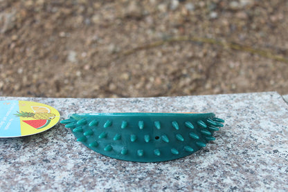 Pet Fruit Sound Chew Toy