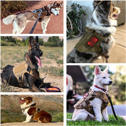 Large Dog Harness Set with Leash & Collar – Training & Walking Vest for All Breeds