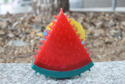 Pet Fruit Sound Chew Toy